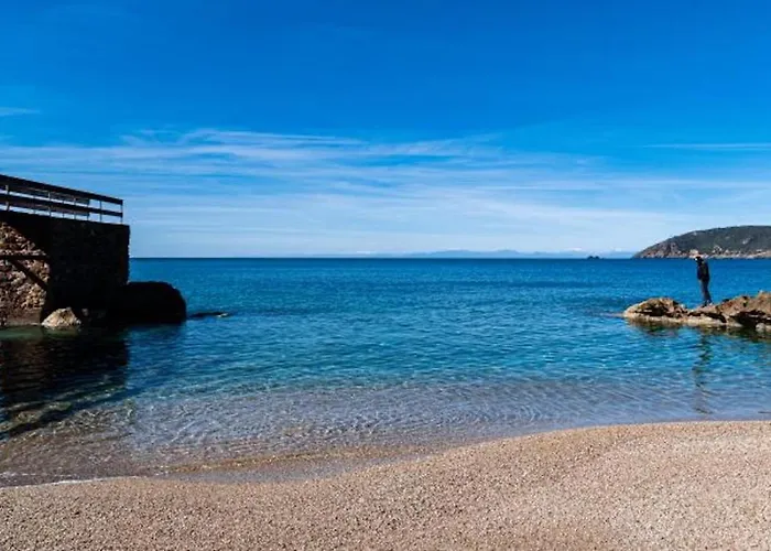 Galatea La Conchiglia *