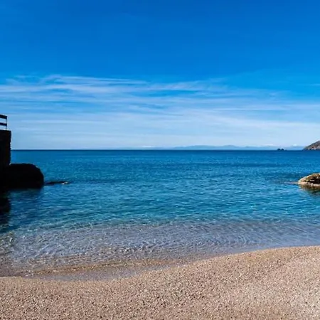 Galatea La Conchiglia *