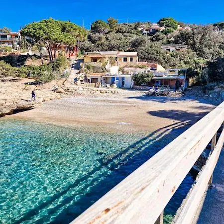 Galatea La Conchiglia