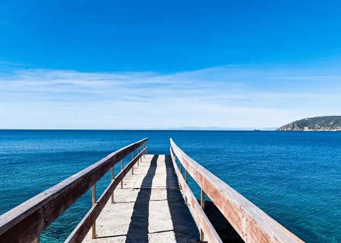 Galatea La Conchiglia Daire *