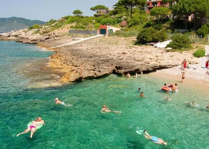 Galatea La Conchiglia Daire *